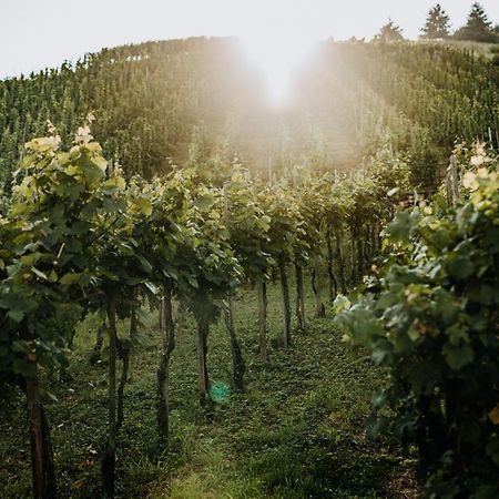 Apartamento Weingut Meurer Reil Exterior foto