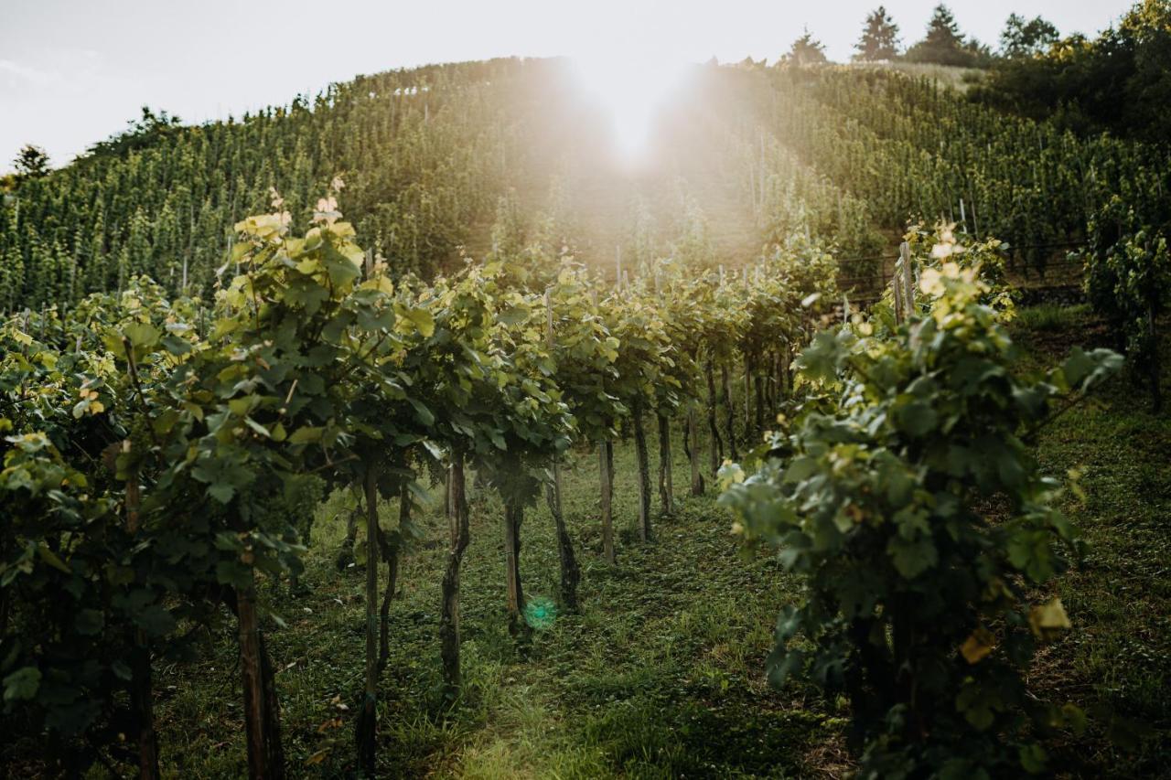 Apartamento Weingut Meurer Reil Exterior foto
